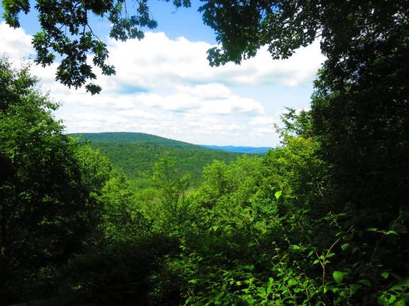 The view from Split Rock Lookout in the remote western Catskills