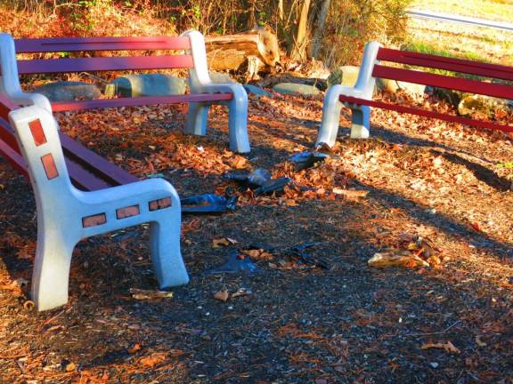 Benches along O&amp;W rail trail, Mountain Dale to Woodridge section (Photo by Pamela Chergotis)