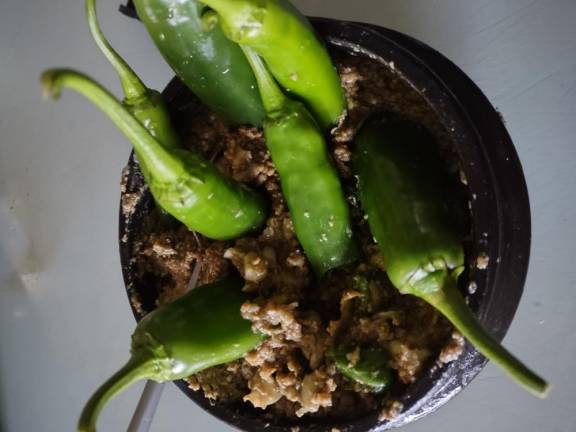 Farm-made bean paste and cucumber peppers