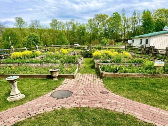 Warwick Valley Winery’s demo garden features native pollinator plants.