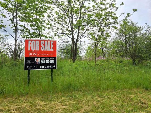 ‘Every day I pass the sign and say a silent prayer, or maybe it’s an oath, that whoever is selling the property has a change of heart or even, if I’m being honest, meets with some kind of life altering event.’