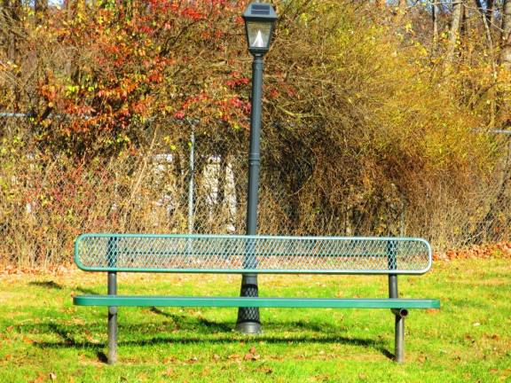 Bench along O&amp;W rail trail, Mountain Dale to Woodridge section (Photo by Pamela Chergotis)