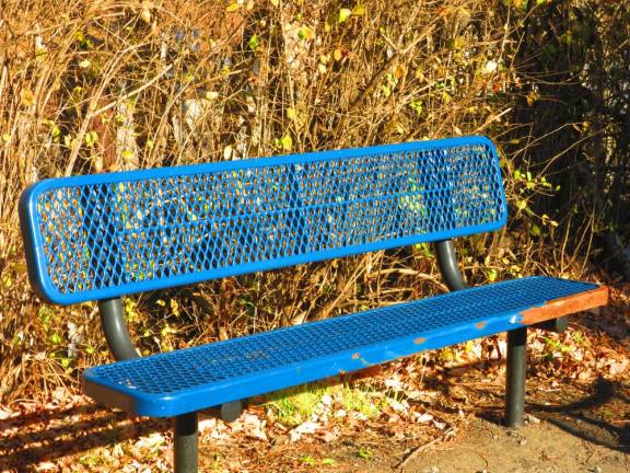 Bench along O&amp;W rail trail, Mountain Dale to Woodridge section (Photo by Pamela Chergotis)