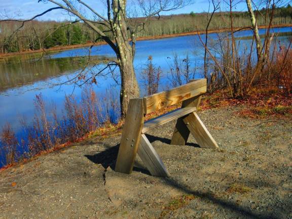 Bench overlooking wetlands along O&amp;W rail trail near Hurleyville, N.Y. (Photo by Pamela Chergotis)