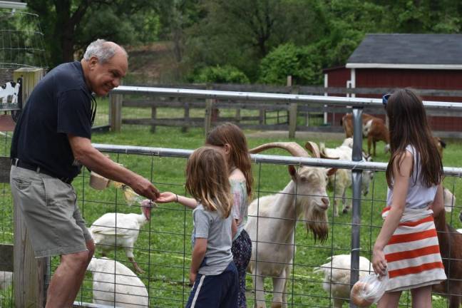 A retired professor of developmental psychology, Bill Crain has a way with kids. Teaching them about the animals that end up on our plates is a major part of the sanctuary’s mission.