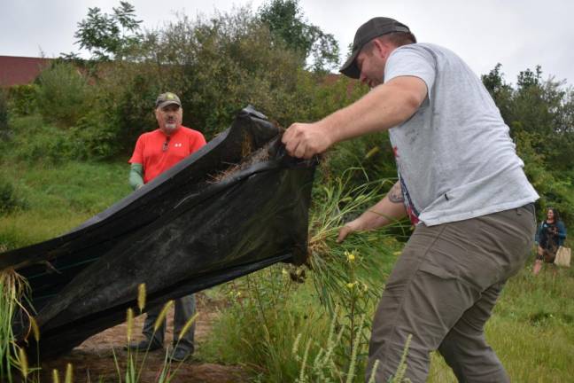 Volunteers Greg Gallucion and Connor Smith, an arborist, remove tarps covering the future pollinator path on Aug. 31, as Amy Lewis Sweetman takes photos.