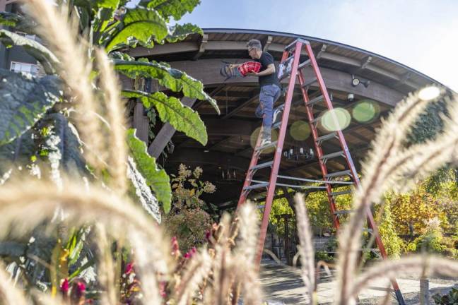 Artist Matt Willey begins a honeybee mural at Crystal Springs resort.