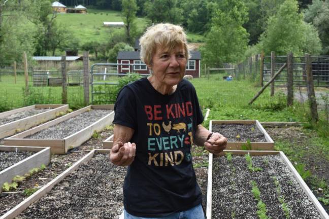 Ellen Crain takes a break from planting a new garden at the sanctuary to talk about her efforts to get people of all political persuasions to thinking hard about eating animals.