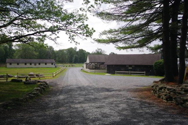 Where horses are therapists