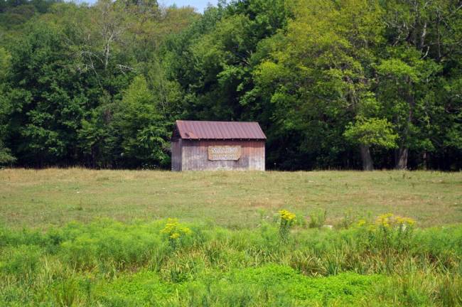 Where horses are therapists