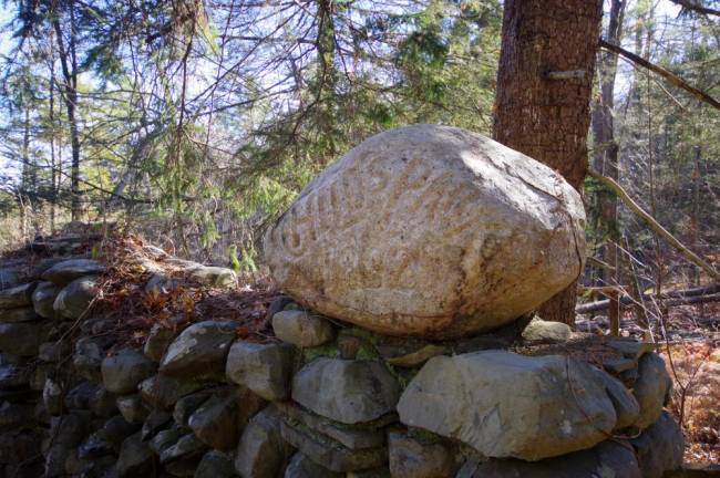 A hard-hit nature park’s comeback