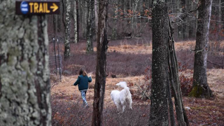 Juno, 9, and Niko headed down to the stream.